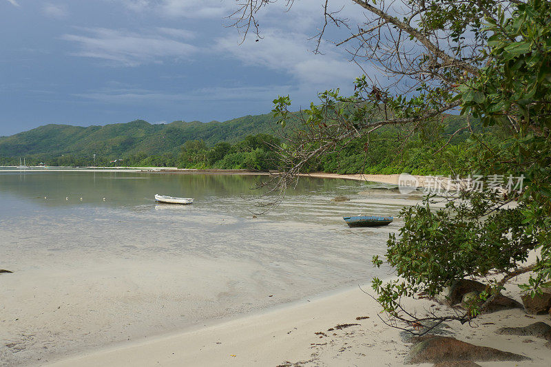 Anse ship, Praslin，塞舌尔